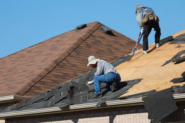Best Roof Moss and Algae Removal  in Mccormick, SC